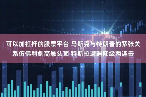 可以加杠杆的股票平台 马斯克与特朗普的紧张关系仿佛利剑高悬头顶 特斯拉遭遇降级两连击
