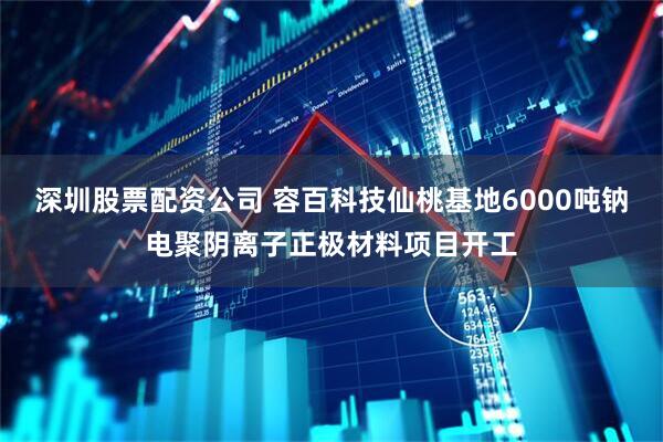 深圳股票配资公司 容百科技仙桃基地6000吨钠电聚阴离子正极材料项目开工