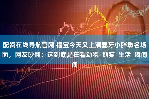 配资在线导航官网 福宝今天又上演塞牙小胖墩名场面，网友吵翻：这到底是在看动物_熊猫_生活_瞬间
